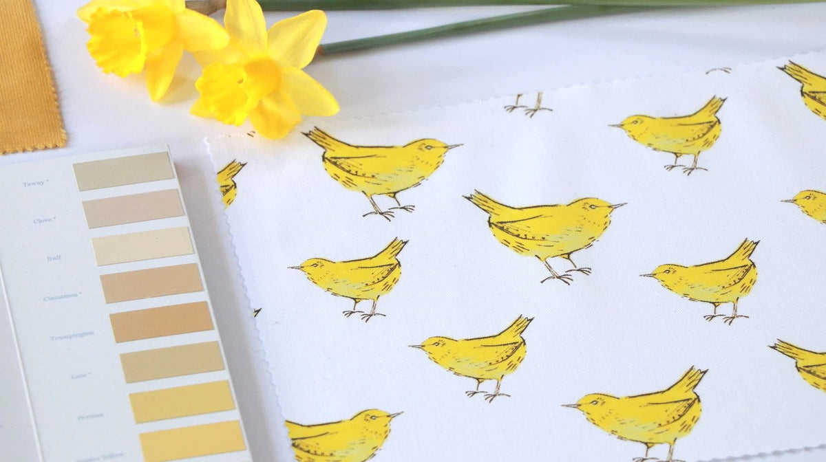 Cotton Fabric