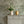 Dog Tales wallpaper by Victoria Sanders in green, a toile of dogs in the countryside above a sideboard