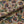 Hues of Sunflowers Linen Fabric