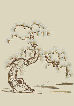 Japanese Tree wallpaper by Dami and Em Design in beige, flat sample of a Japanese pine tree