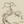 Japanese Tree Wallpaper