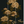 Whispers of Peony Wallpaper