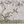 Birdsong By the Lake Wallpaper