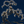 Japanese Tree Wallpaper