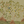 Citrus Trees Wallpaper