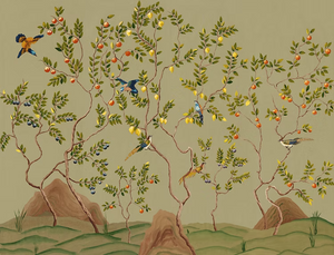 Citrus Trees Wallpaper