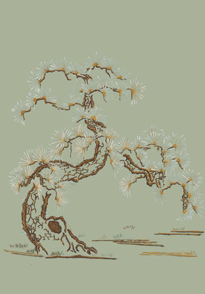 Japanese Tree wallpaper by Dami and Em Design in sage green, full repeat of a Japanese pine tree