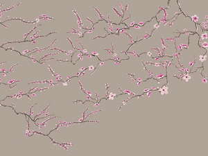 Blossom Wallpaper