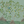 Citrus Trees Wallpaper