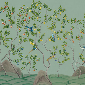 Citrus Trees Wallpaper