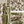 Seasons of the Vine Summer Linen Fabric
