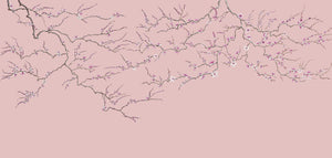 Blossom wallpaper by Dami and Em Design in pink, pattern sample of blossom branches