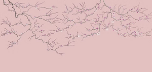 Blossom Wallpaper