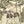 Dog Tales wallpaper by Victoria Sanders in green, pattern detail of a toile of dogs in the countryside