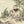 Dog Tales wallpaper by Victoria Sanders in green, full repeat of a toile of dogs in the countryside (alternate view)