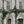 Animal Architecture Wallpaper