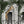 Animal Architecture Wallpaper