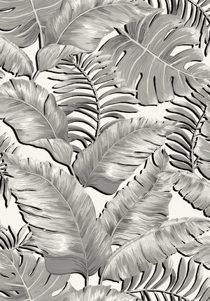 Banana Leaves Max Wallpaper