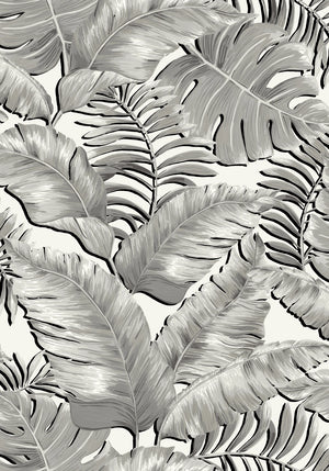 Banana Leaves Standard Wallpaper