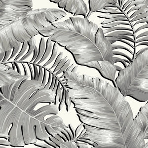 Banana Leaves Standard Wallpaper