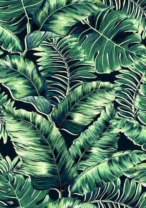 Banana Leaves Standard Wallpaper