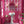 Bel Air Blossom wallpaper by Liberty James Studio in pink, a mirrored blossom design in a bathroom setting