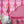 Bel Air Blossom wallpaper by Liberty James Studio in pink, a mirrored blossom design in a bedroom