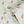 Sustainable Butterfly and Wallpaper