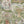 Carnival Map Wallpaper