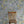 The Lost Garden in Coastal Blue Wallpaper