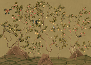 Citrus Trees Wallpaper