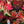 Coral Gables Wallpaper