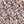 Creeping Trellis Linen