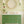 Daffodil wallpaper by Annika Reed in yellow and green, daffodils in a bathroom