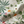 Little Eden Linen