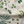 Little Eden Linen