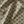 Little Palma Linen