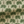 Little Palma Linen