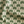 Little Palma Linen