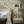 Meadowlane in Ivory Wallpaper