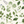 Meadowlane in Ivory Wallpaper