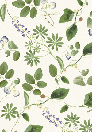 Meadowlane in Ivory Wallpaper
