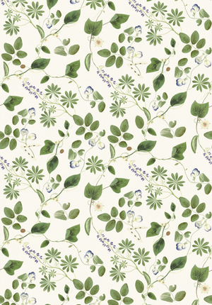 Meadowlane in Ivory Wallpaper