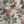 Passiflora Linen