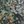 Resplendent Woods Linen