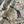 Resplendent Woods Linen