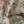 Resplendent Woods Linen