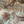 Resplendent Woods Linen