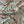 Resplendent Woods Linen