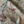 Resplendent Woods Linen